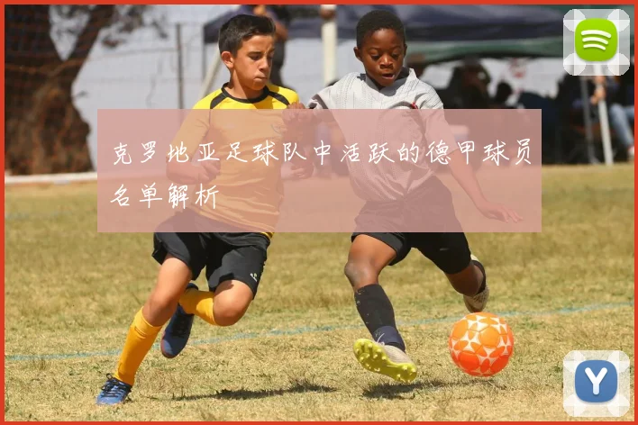 克罗地亚足球队中活跃的德甲球员名单解析